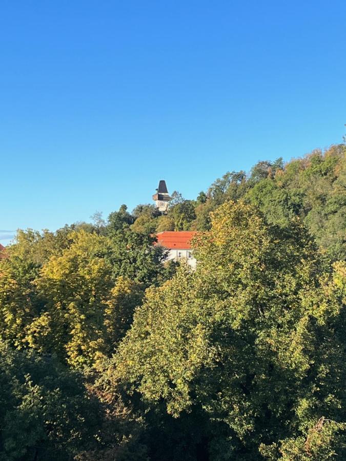 Cityview Apartment Graz Eksteriør billede